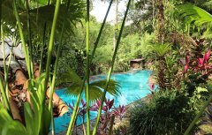 ecolodge-arenal-a.jpg