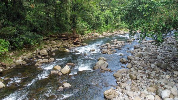 Captivating 6 Room Hotel And Owners House, On The River Side Of Rio Blanco, Guapiles